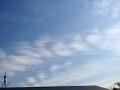 120213_135702sse.jpg