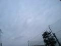 120216_173301sw.jpg