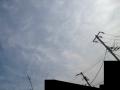120224_083001ne.jpg