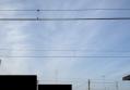 120224_083801w.jpg