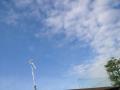 120228_082202sw.jpg