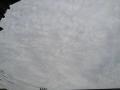 120330_081804ne.jpg