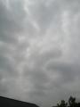 120428_102301s.jpg