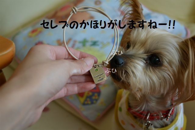 素敵なチョーカー