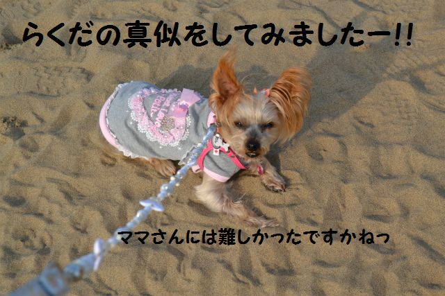 らくだのつもり