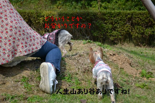 障害なんてなんのその