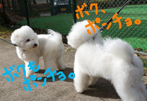 出逢い2