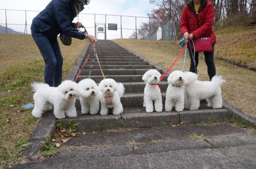 出逢い