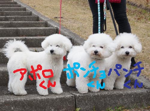 出逢い9