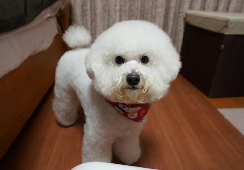 ぴんく8