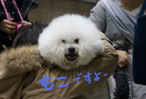ショー12