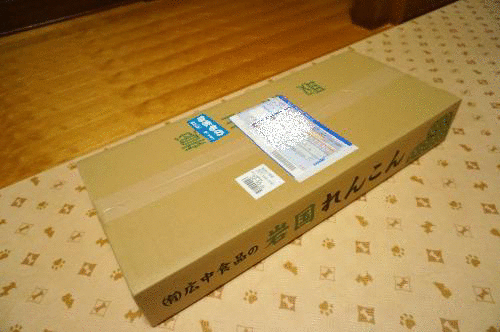 れんこん