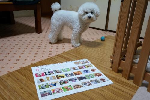 カレンダー7