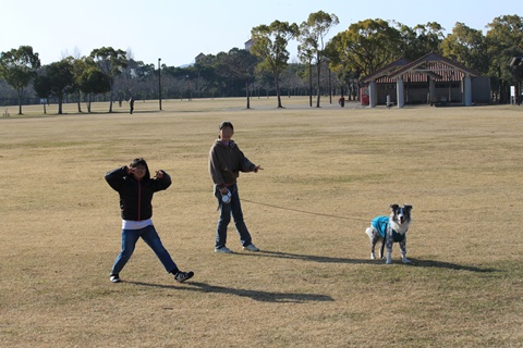 IMG_7817-001.jpg