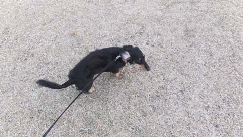 2013_095_480.jpg