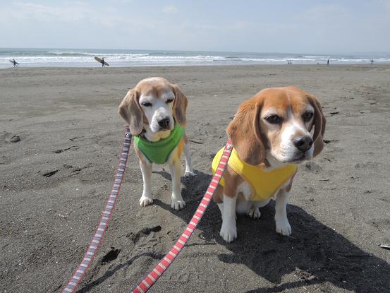 130302-28cookychara in beach