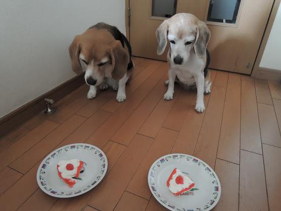 130615-06chara bithday02
