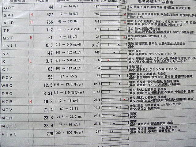 P1040547.jpg