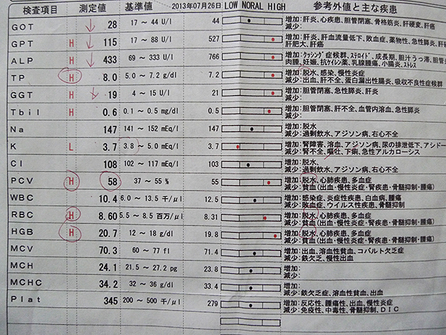 P1040548.jpg
