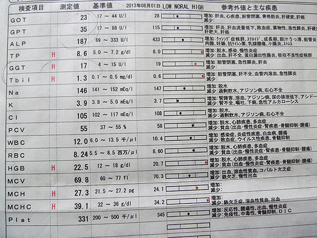 P1040549.jpg