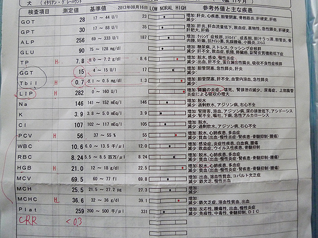 P1040550.jpg