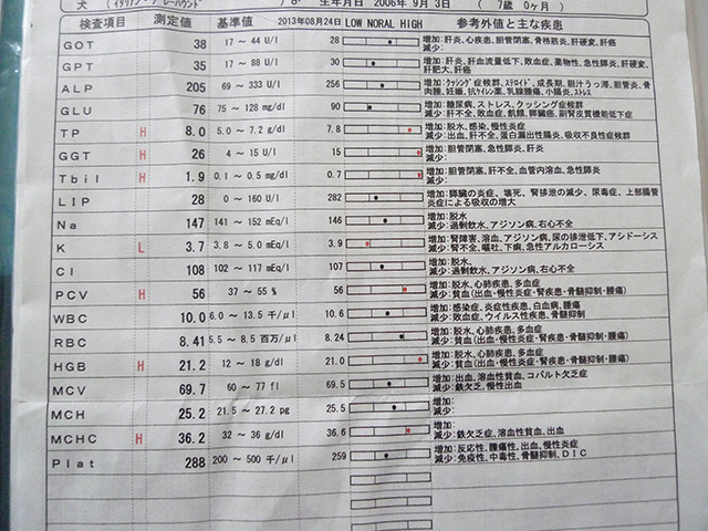 P1040551.jpg