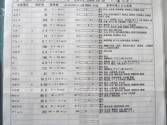 P1040552.jpg