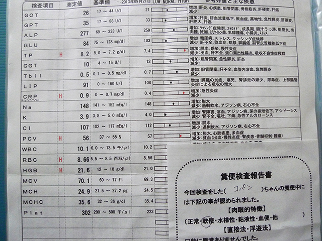P1040553.jpg