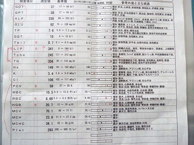P1040554.jpg