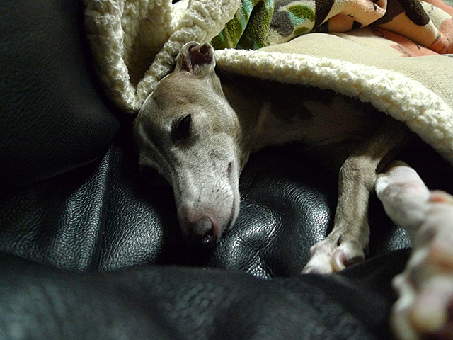 P1040555.jpg