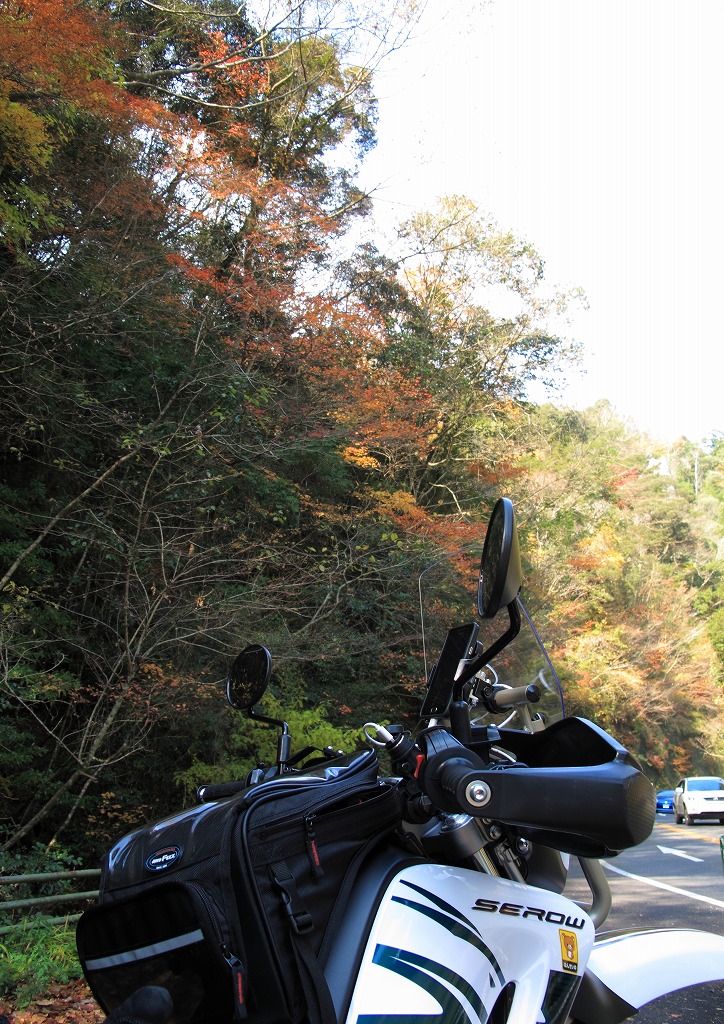 015_20131209143107cf1.jpg