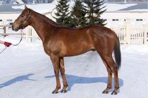 grace_hero_120229.jpg