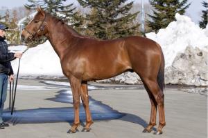 grace_hero_120330.jpg