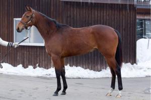 pedreria_20120330.jpg