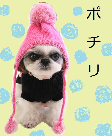 オツをポチリ