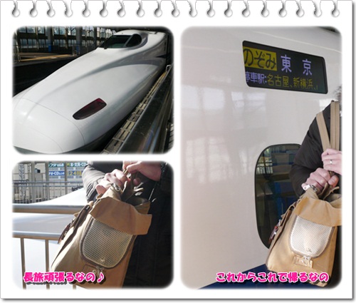 crea130130-6.jpg