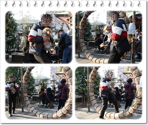 crea130201-9.jpg