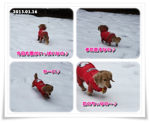 crea130206-1.jpg