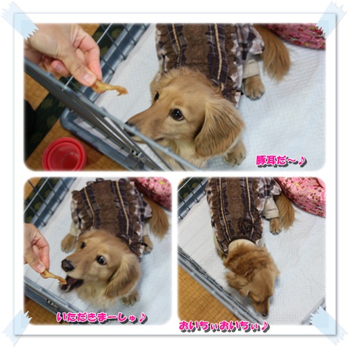 crea130211-2.jpg