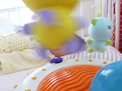 画像 1091