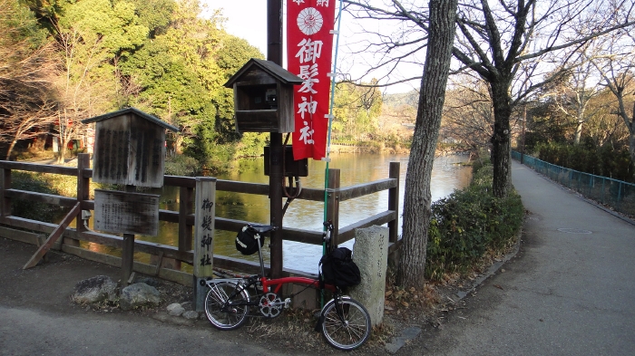 DSC04343 (9)