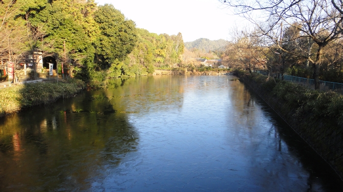 DSC04343 (10)