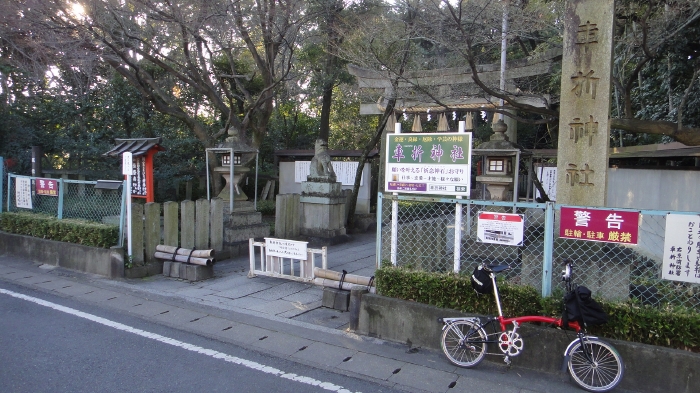 DSC04343 (11)