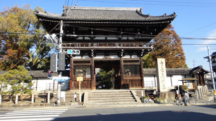 DSC04343 (35)