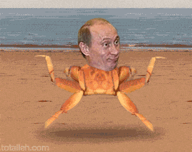 プーチンカニ走り