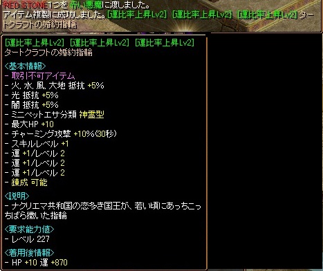 1208ルコ鏡2