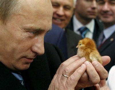 プーチンひよこ