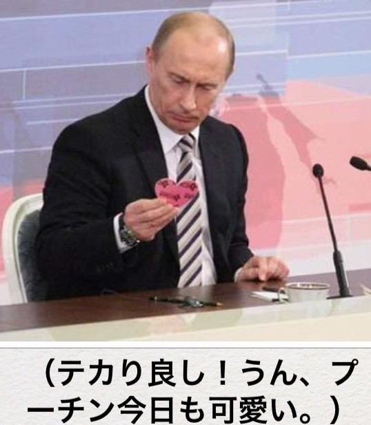 プーチンかわいい