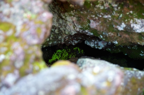 IMGP0113.jpg