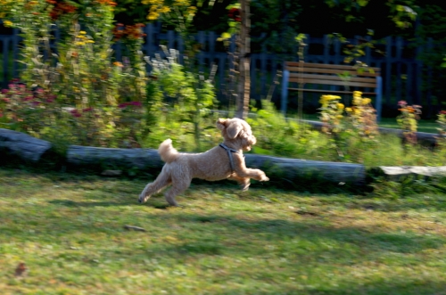IMGP0215.jpg